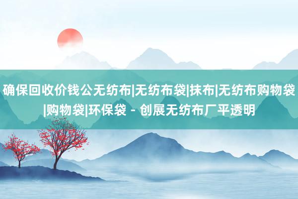 确保回收价钱公无纺布|无纺布袋|抹布|无纺布购物袋|购物袋|环保袋 - 创展无纺布厂平透明